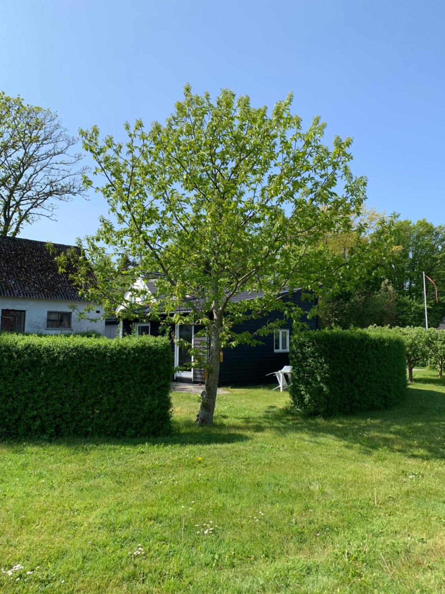 Tusindfrugt B&B Store Heddinge Εξωτερικό φωτογραφία